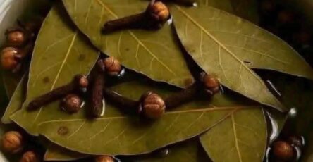Bay Leaf and Clove Herbal