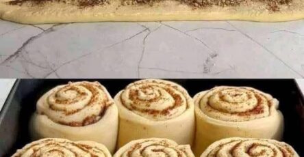 Soft and Fluffy Cinnamon Rolls
