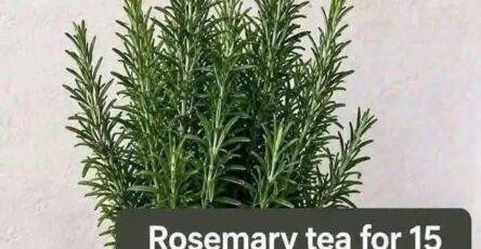 Rosemary Tea