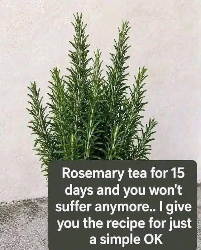 Rosemary Tea