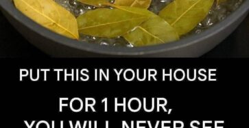Aromatic Bay Leaf Simmer Pot