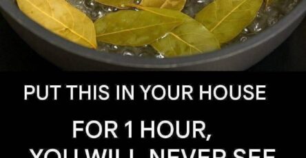 Aromatic Bay Leaf Simmer Pot