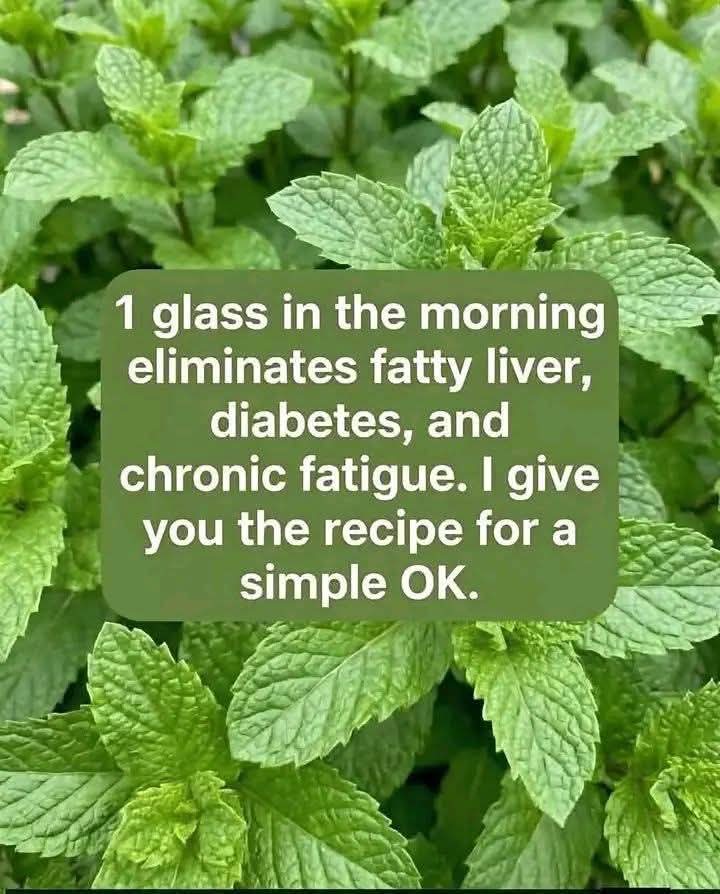 Fresh Mint & Lemon Morning Tonic