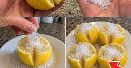 Salt-Preserved Lemons