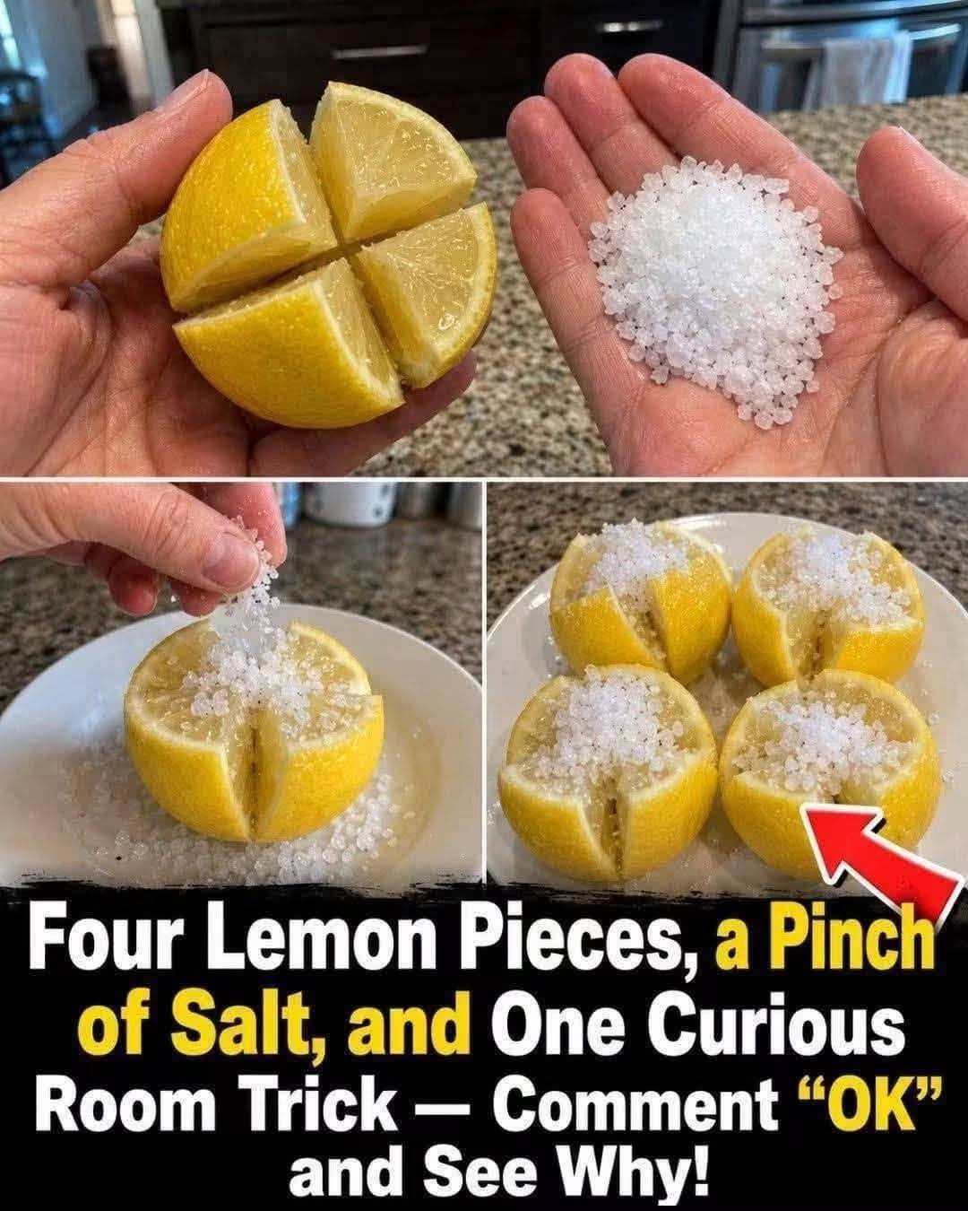 Salt-Preserved Lemons