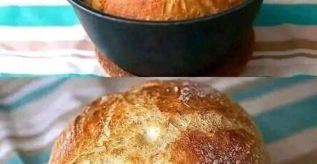 Artisan Bread